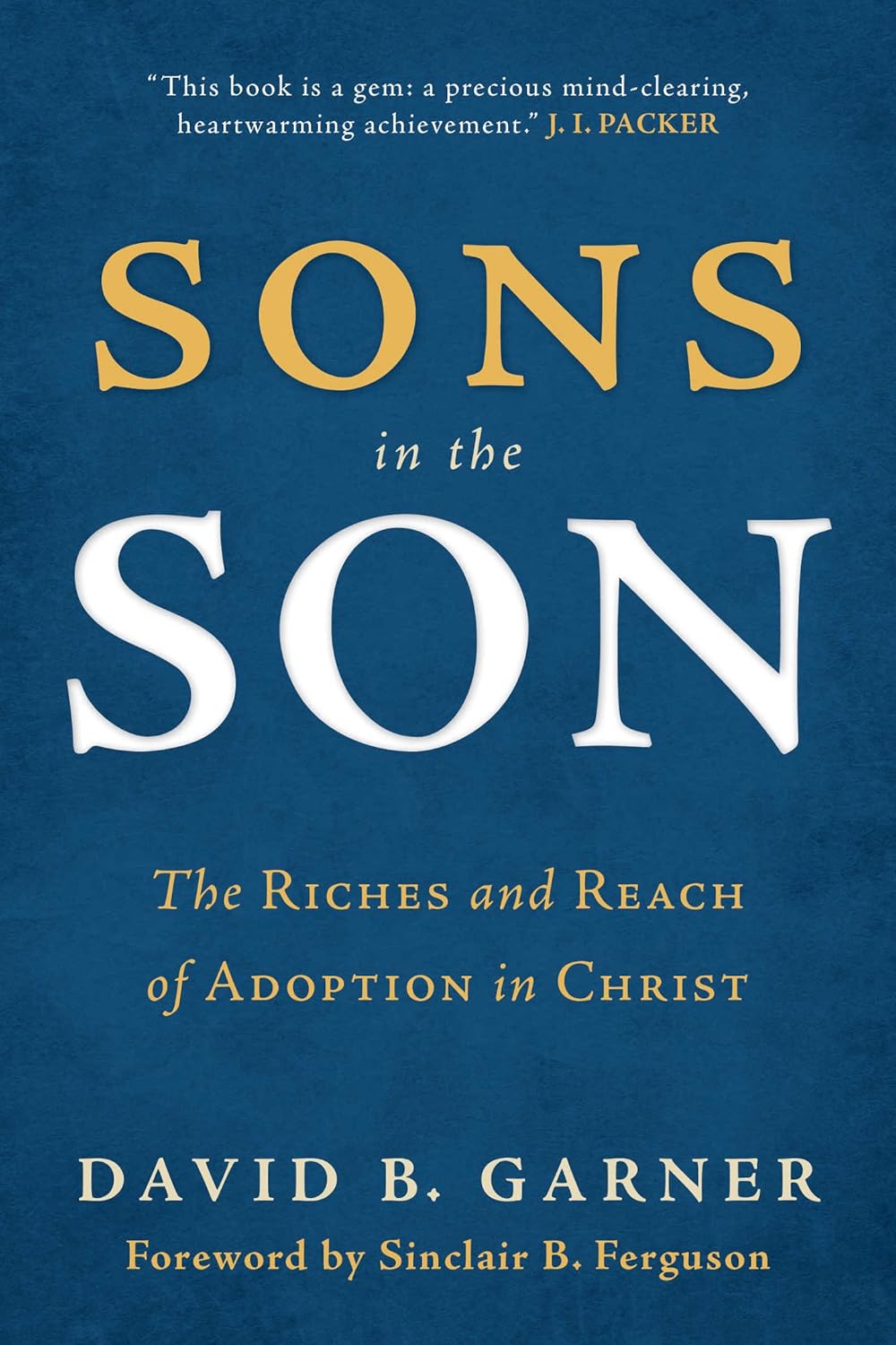 Cover of Sons in the Son by David B. Garner